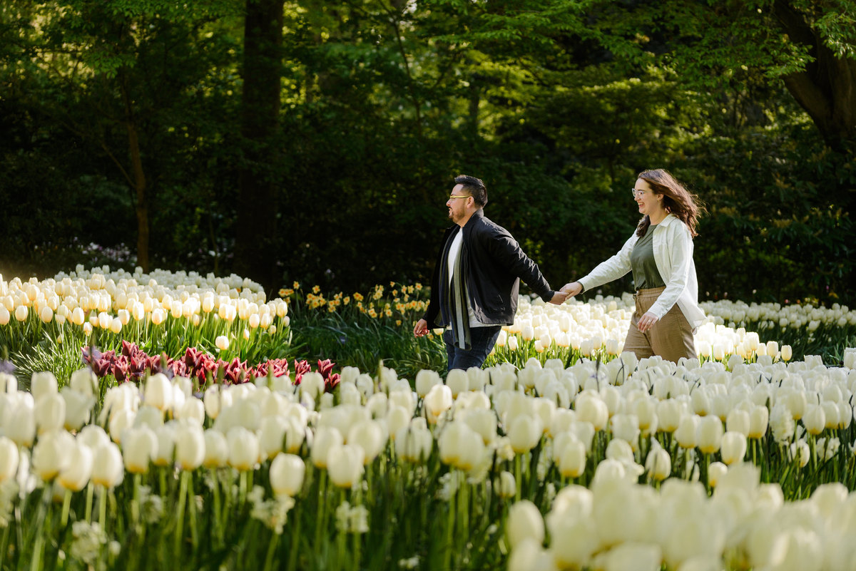 Newly engaged couple strolling through white tulip displays at Keukenhof Gardens.