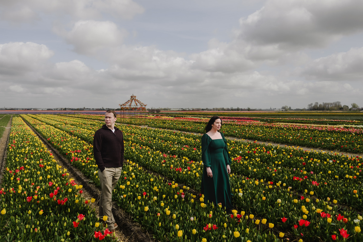 Wide landscape of colourful tulip fields in the Netherlands.