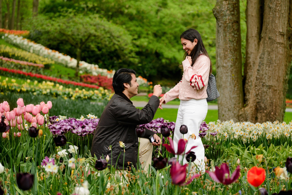 Marriage proposal during tulip season at Keukenhof in the Netherlands.