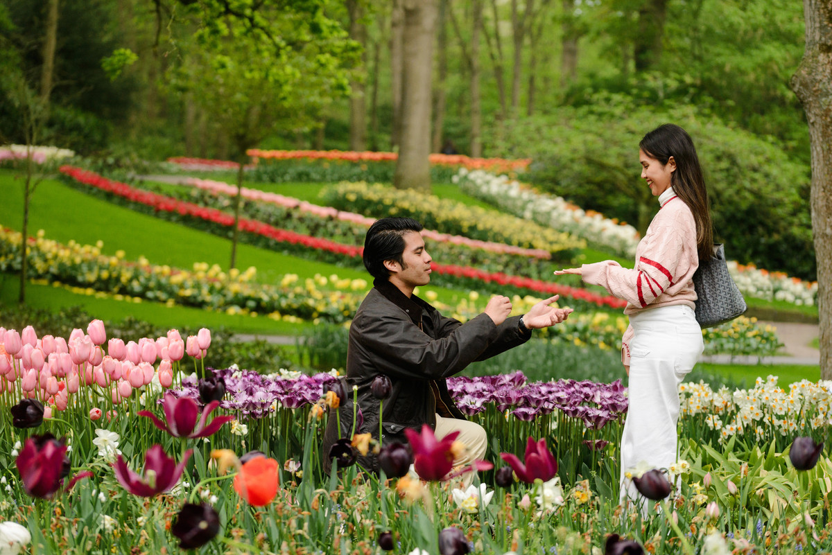 Emotional engagement proposal among colourful tulips at Keukenhof.