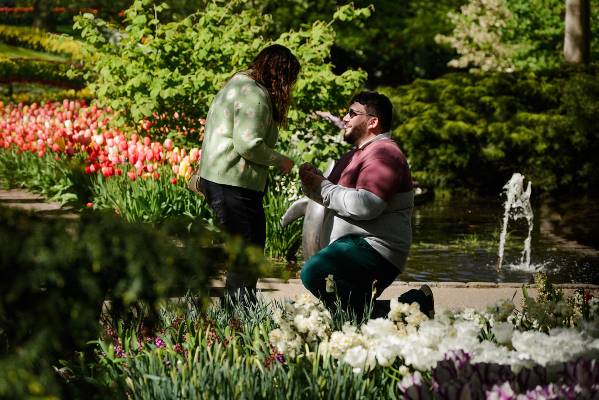 Surprise proposal surrounded by colourful flowers at Keukenhof.