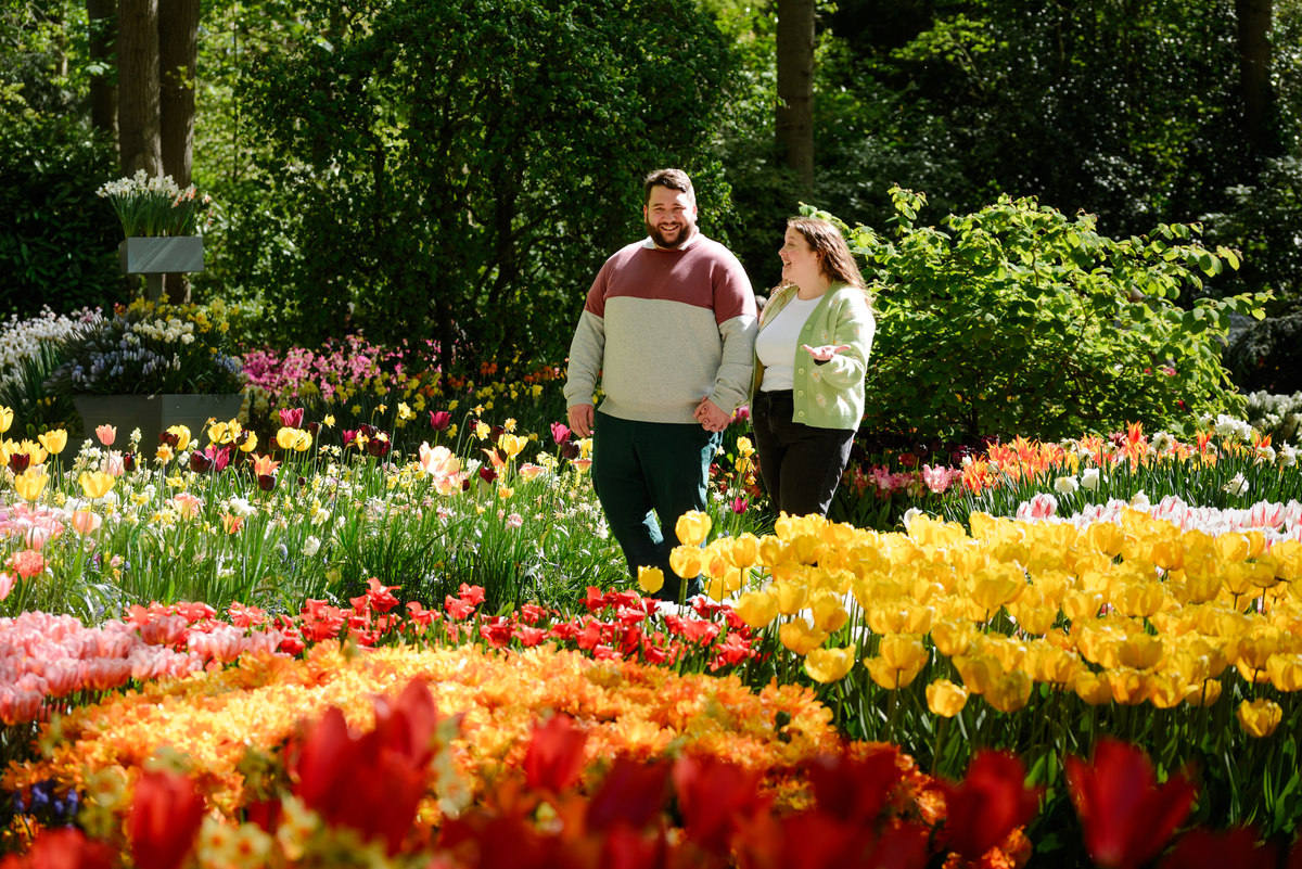 Romantic engagement portraits surrounded by tulips at Keukenhof.