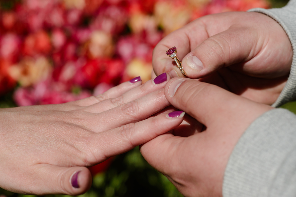 Surprise proposal surrounded by colourful flowers at Keukenhof.