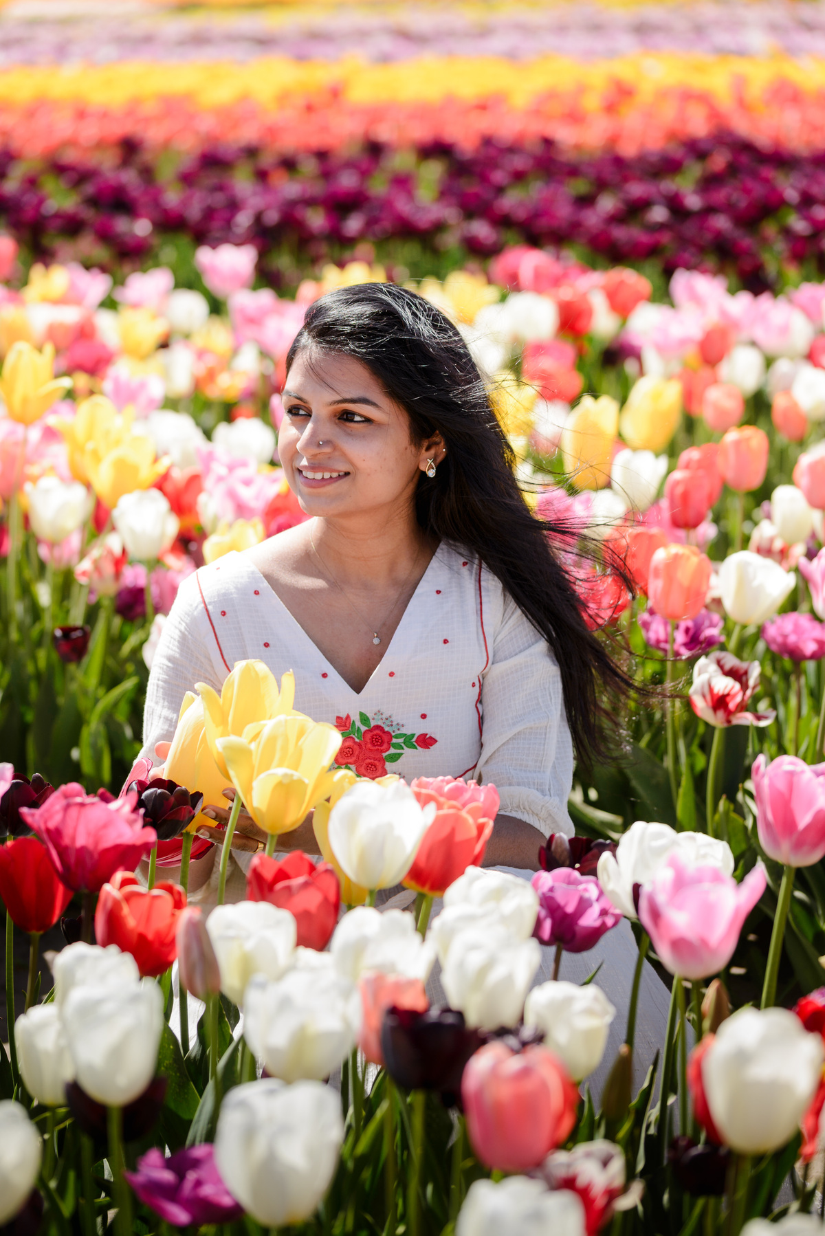 Woman enjoying the colourful tulip fields during an anniversary visit to The Tulip Barn.