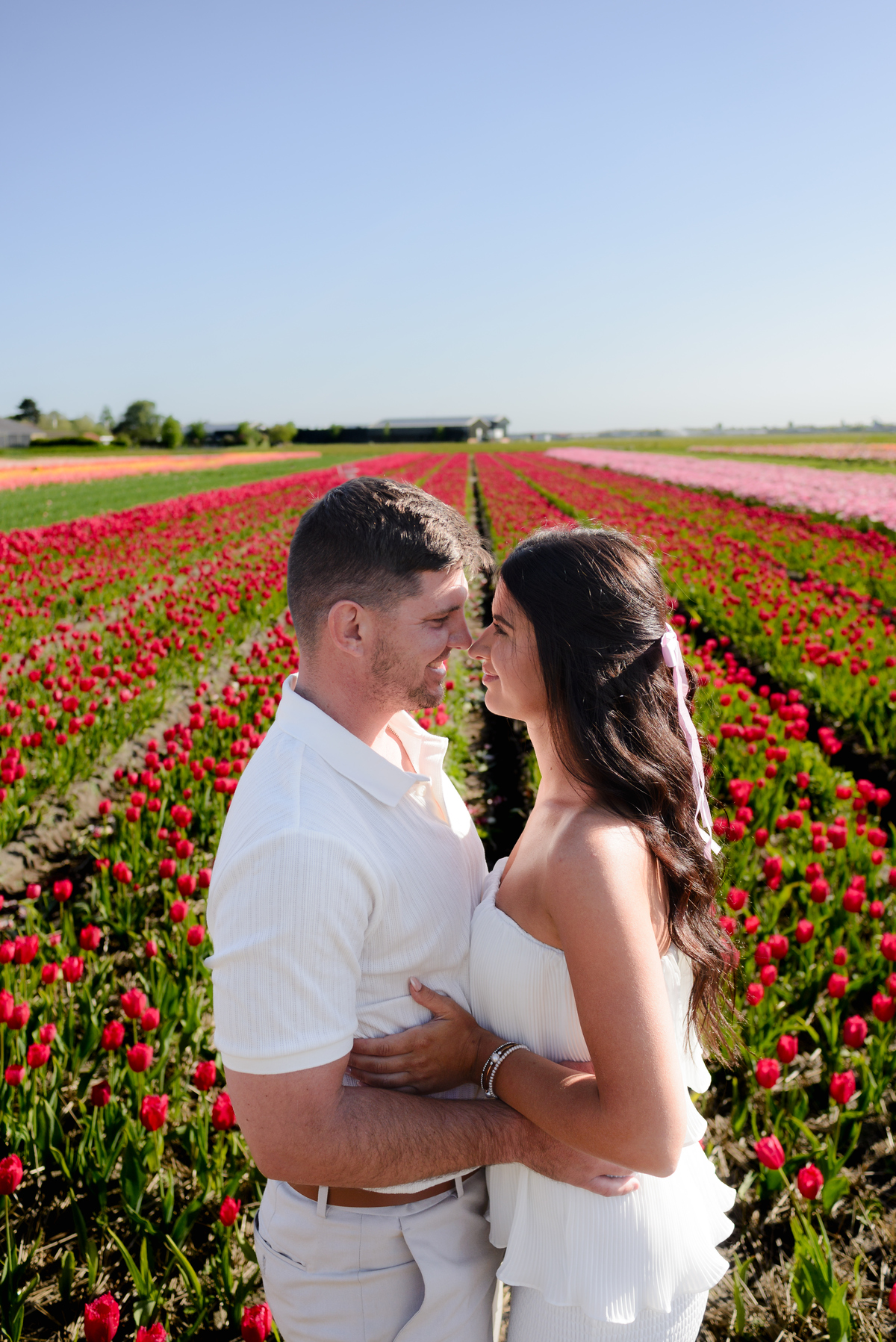 Surprise proposal surrounded by colourful tulips at Tulip Experience Amsterdam.