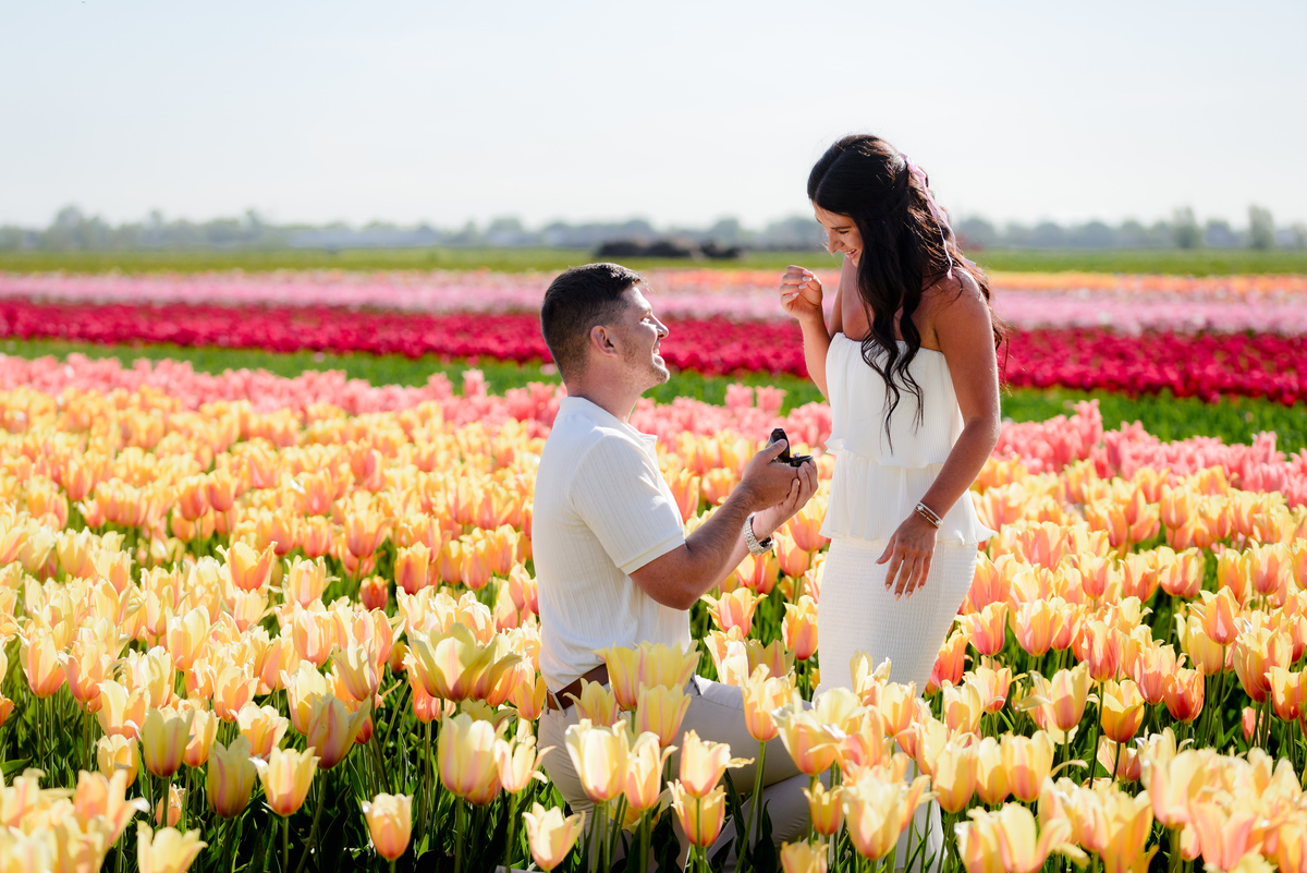 Newly engaged couple celebrating among blooming tulips.