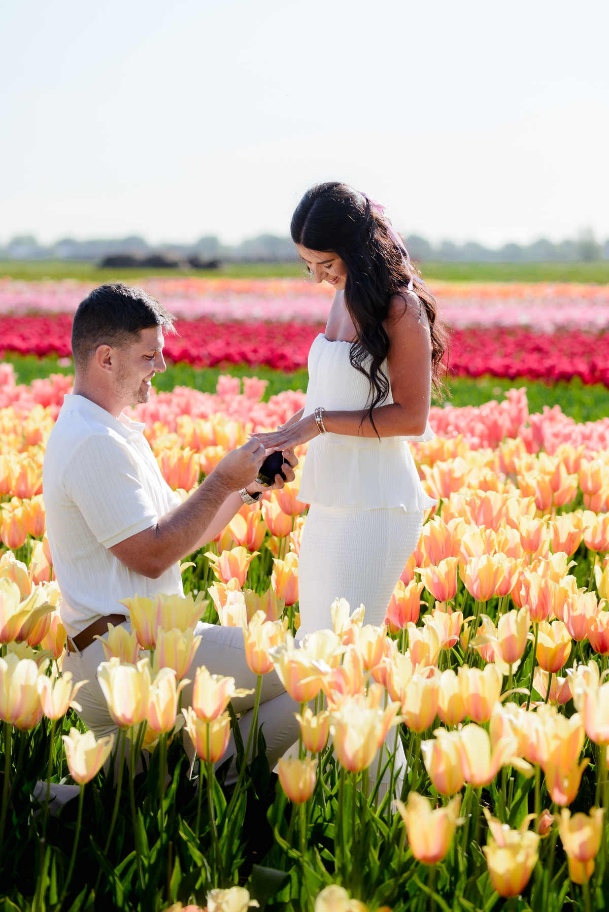 Surprise proposal surrounded by colourful tulips at Tulip Experience Amsterdam.