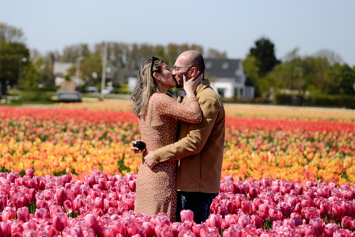 Newly engaged couple celebrating among tulips in the Netherlands