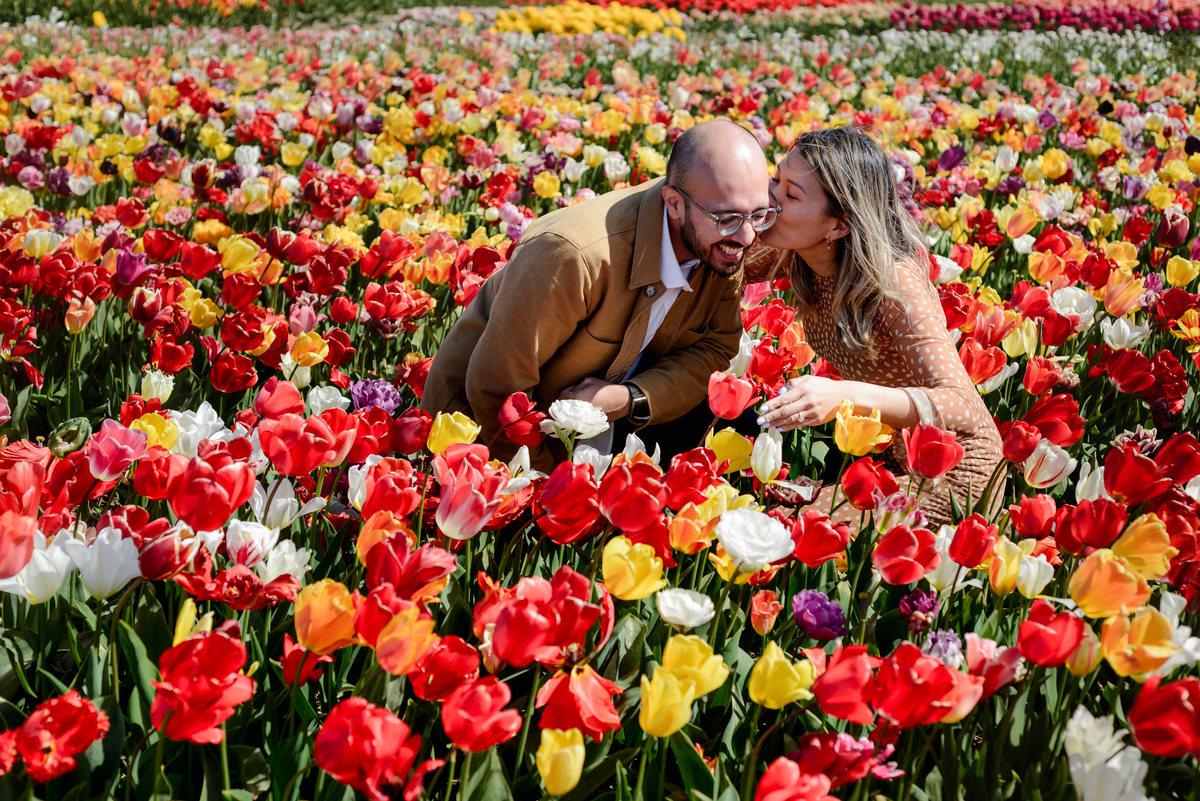 Engagement portraits among red, yellow and pink tulips