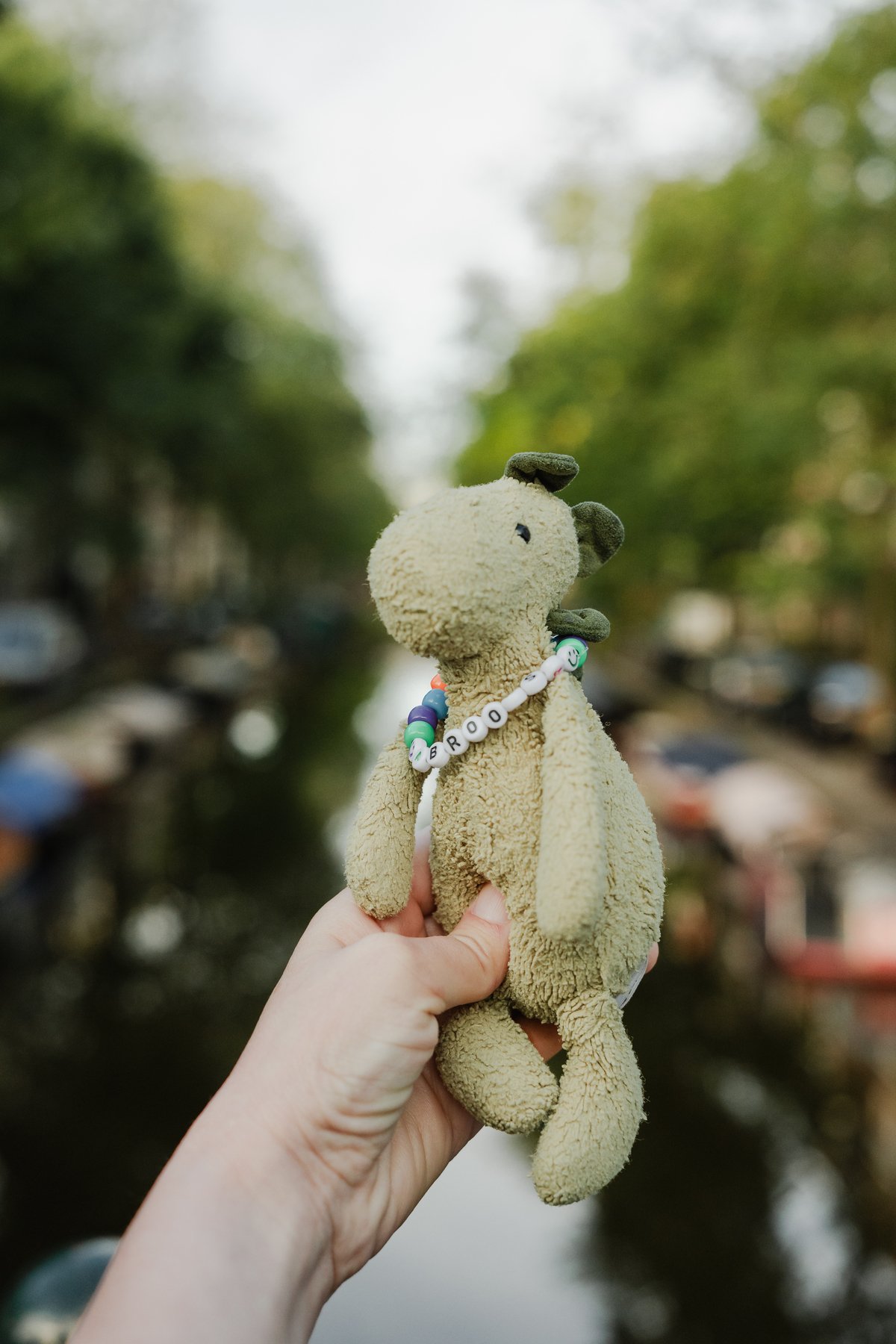 Close-up of a dinosaur toy held during a family photo session in Amsterdam.