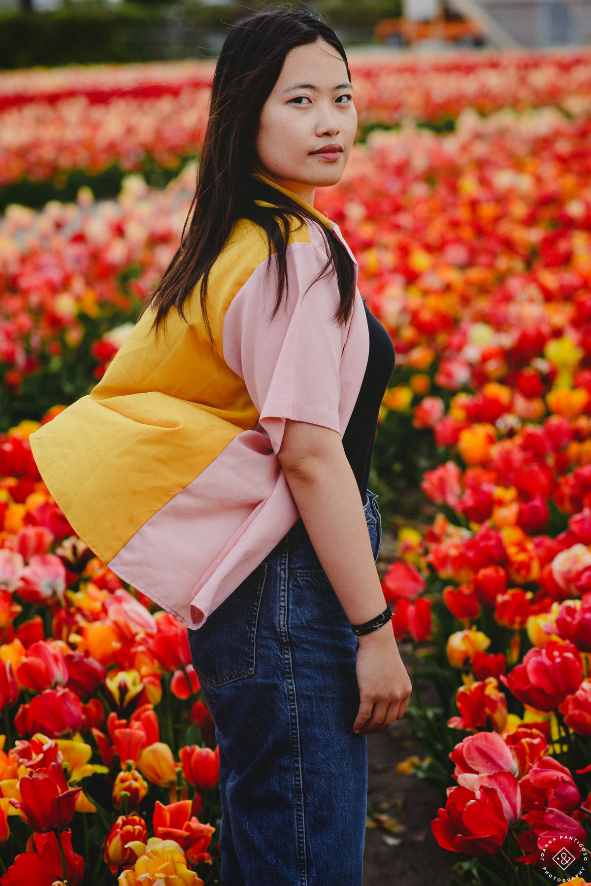 tulip, tulips, photosession, tulip fields, tulpvelden, velden, tulpen, nederland, netherlands, photo session, photos with tulips, the tulip barn, tulip experience, proposal in a tulip field, photographer, fotograaf, portretfotograaf, amsterdam
