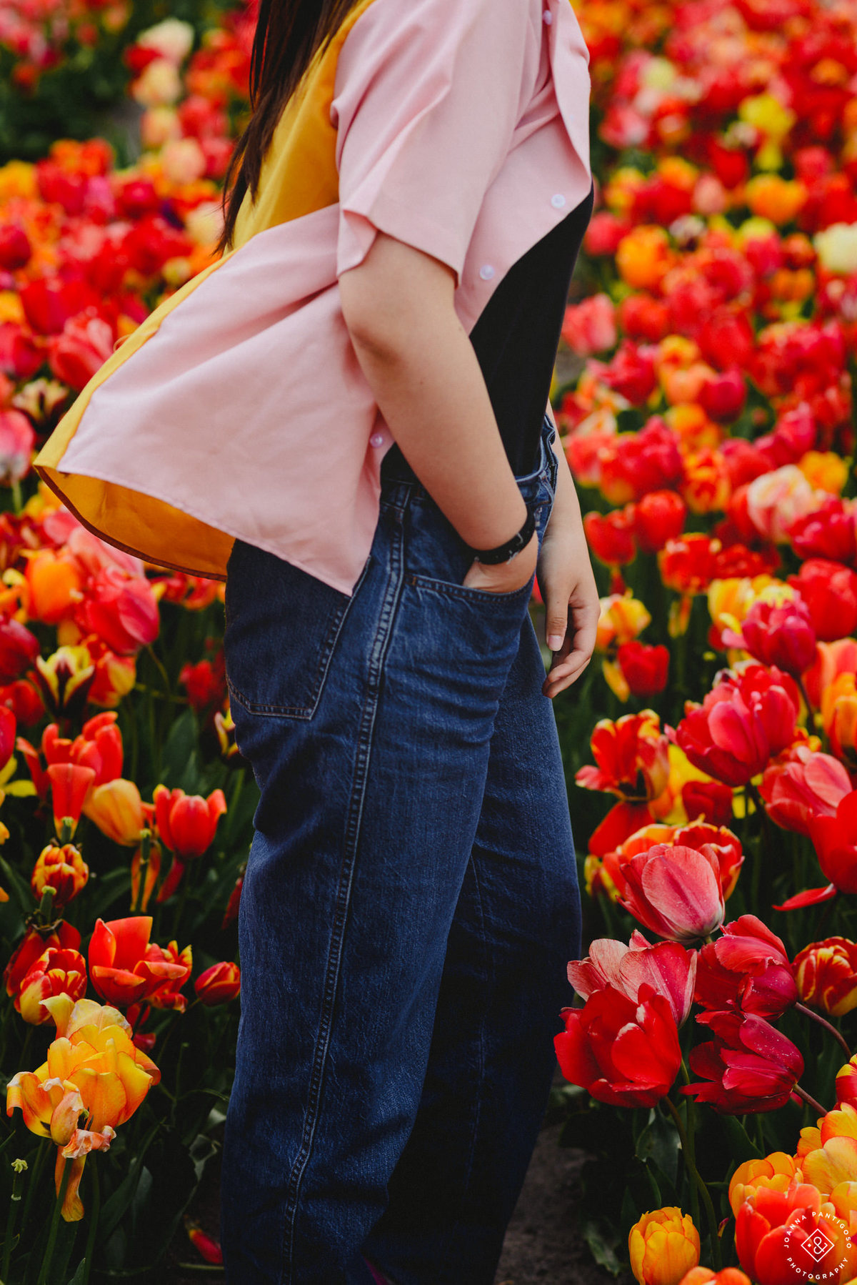 tulip, tulips, photosession, tulip fields, tulpvelden, velden, tulpen, nederland, netherlands, photo session, photos with tulips, the tulip barn, tulip experience, proposal in a tulip field, photographer, fotograaf, portretfotograaf, amsterdam