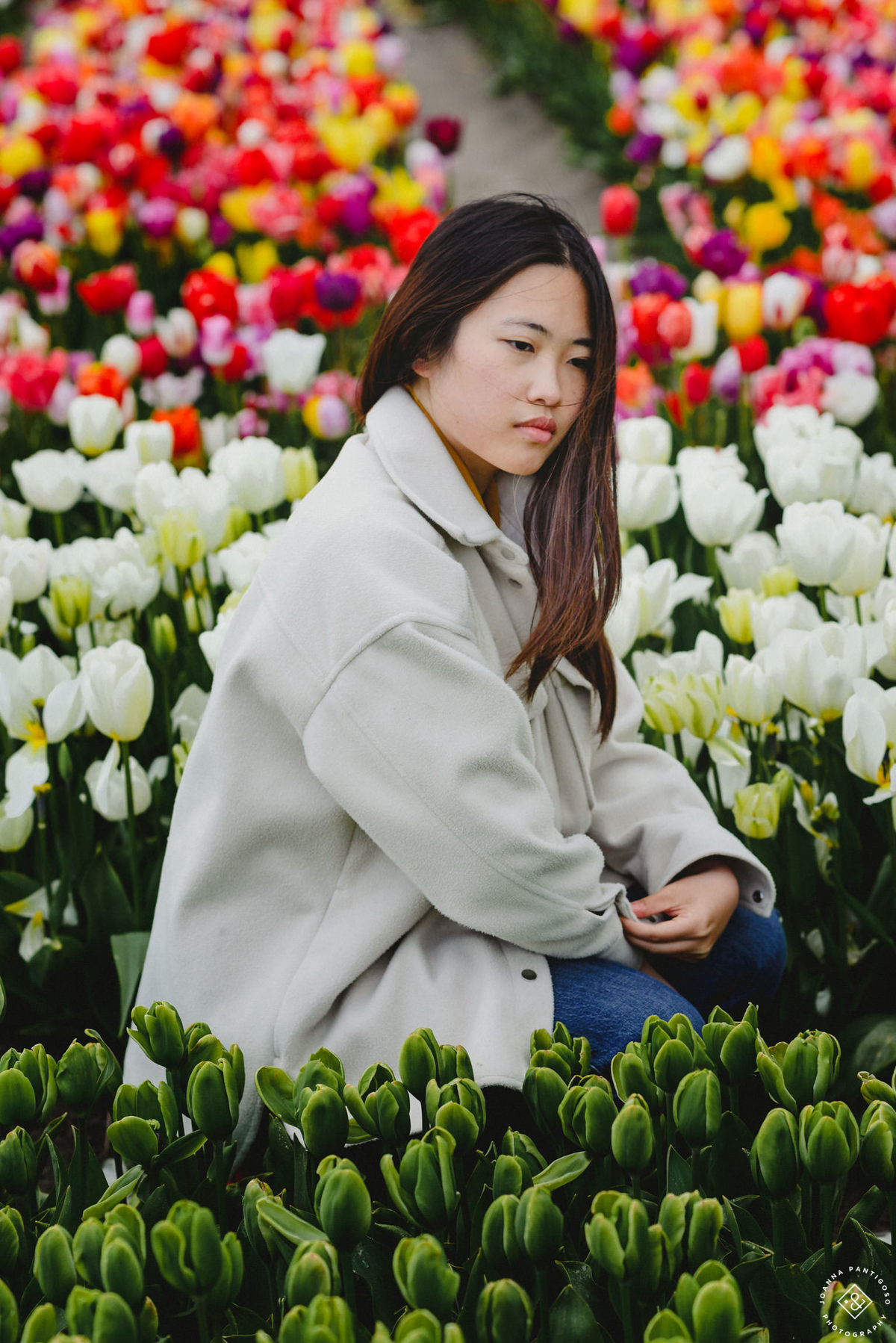 tulip, tulips, photosession, tulip fields, tulpvelden, velden, tulpen, nederland, netherlands, photo session, photos with tulips, the tulip barn, tulip experience, proposal in a tulip field, photographer, fotograaf, portretfotograaf, amsterdam