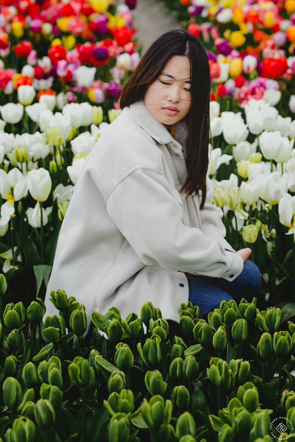 tulip, tulips, photosession, tulip fields, tulpvelden, velden, tulpen, nederland, netherlands, photo session, photos with tulips, the tulip barn, tulip experience, proposal in a tulip field, photographer, fotograaf, portretfotograaf, amsterdam