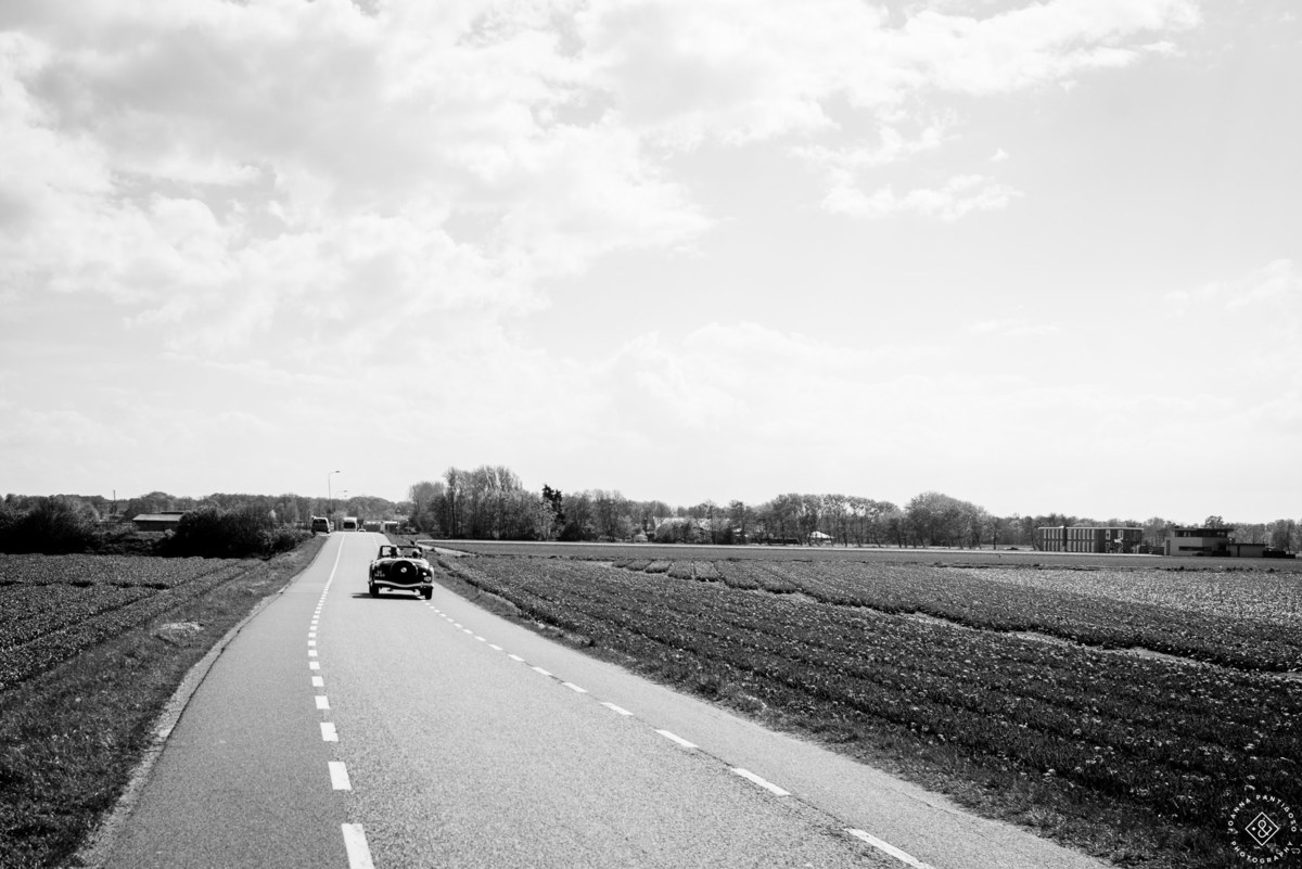 tulip, tulips, photosession, tulip fields, tulpvelden, velden, tulpen, nederland, netherlands, photo session, photos with tulips, the tulip barn, tulip experience, proposal in a tulip field, photographer, fotograaf, portretfotograaf, amsterdam
