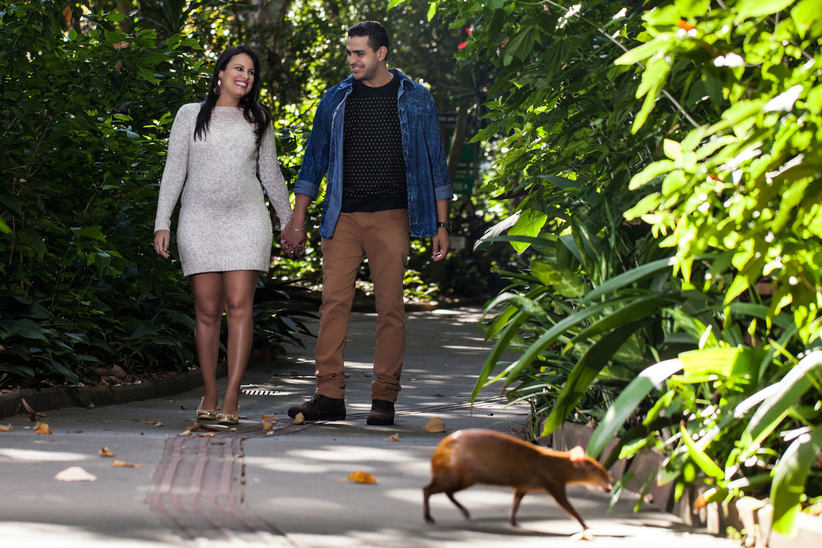 Bruno Brum foto e filmagem - Santos Orquidario - ensaio de casamento - Natureza