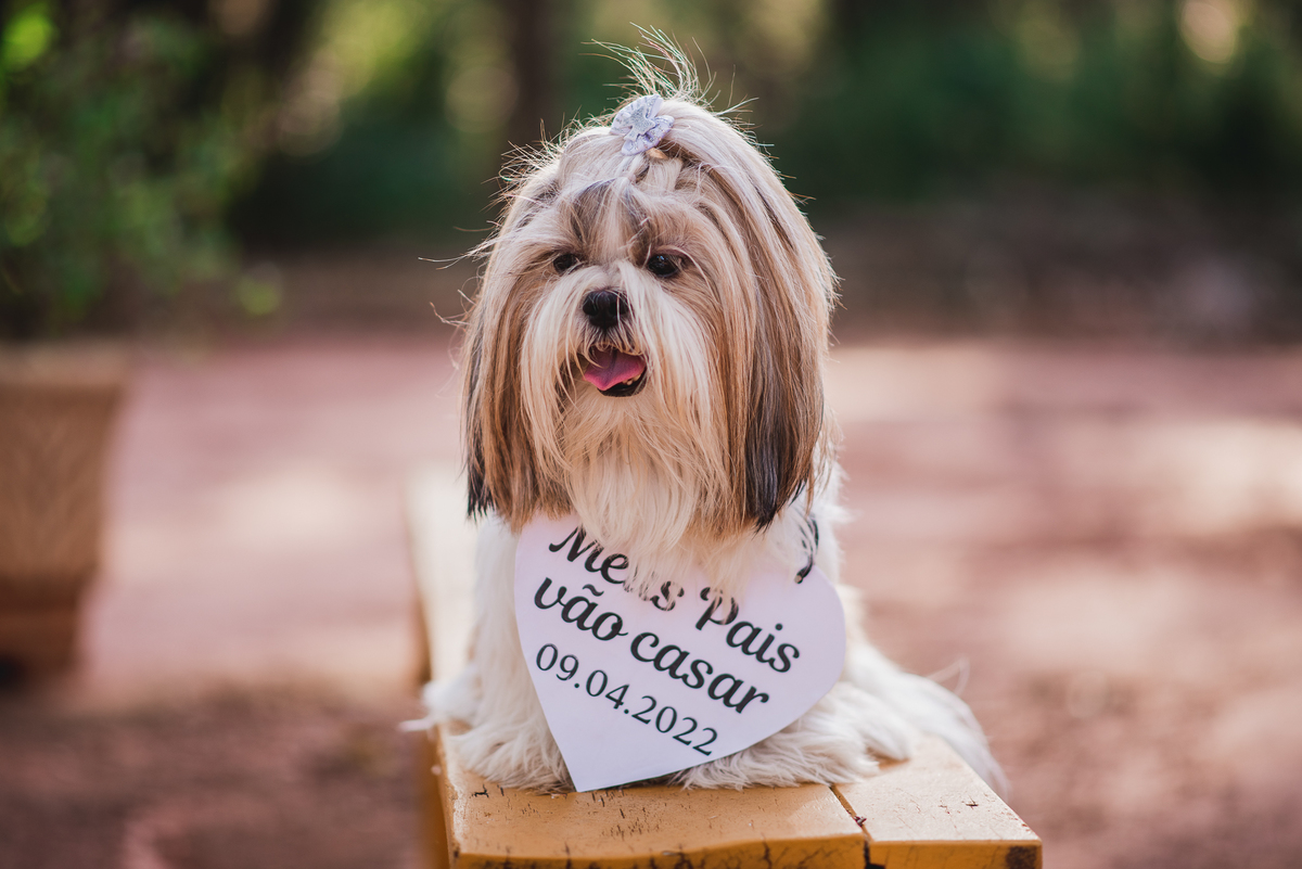 Pré Wedding - Hotel Floresta dos Sonhos - Colina - SP
