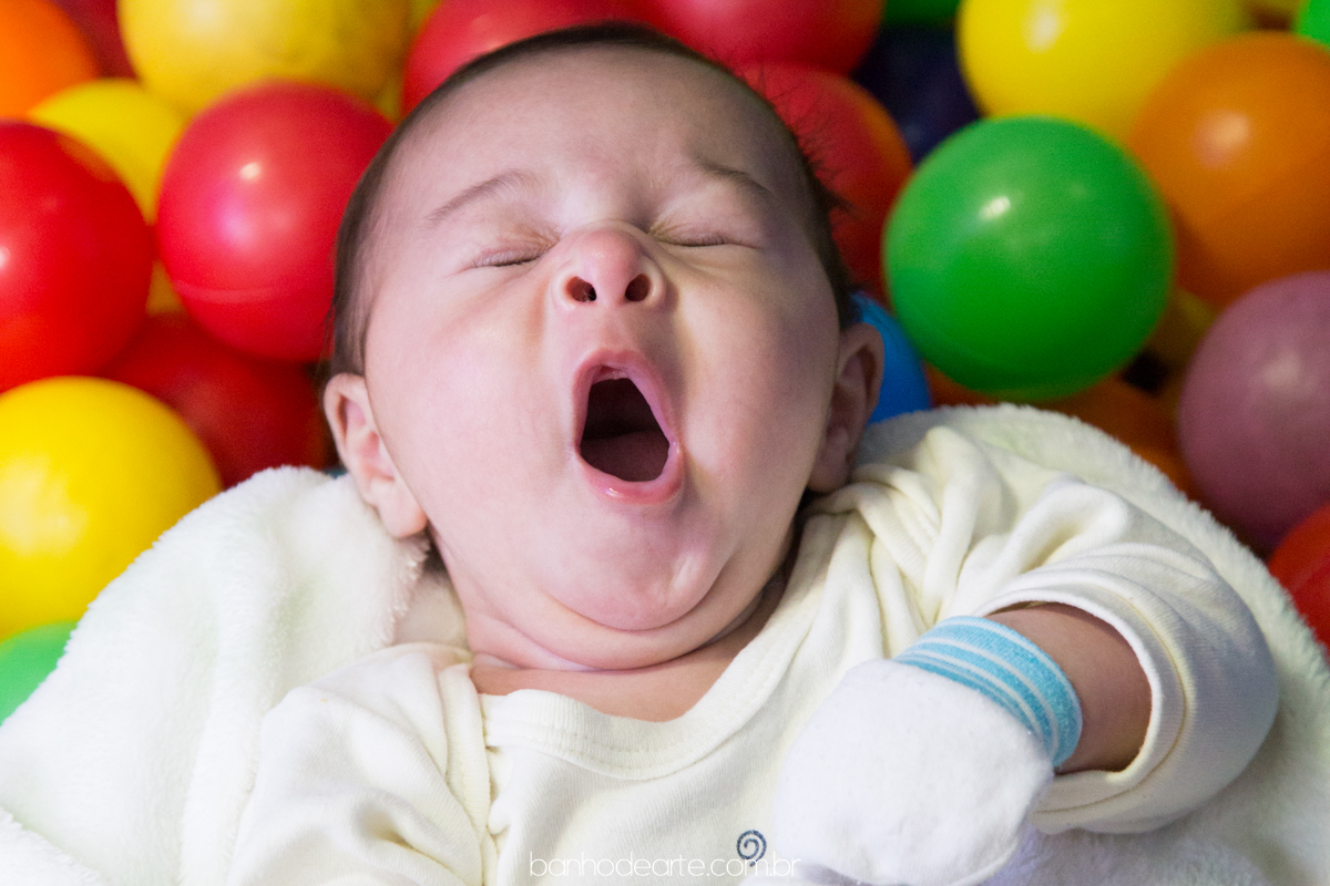 Aniversário Tema Princesa Sofia | Giovanna 5 anos