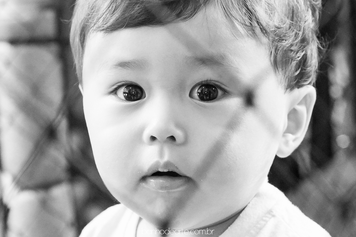 Aniversario de 4 anos da Estela com o tema Zootopia fotografado por Banho de Arte