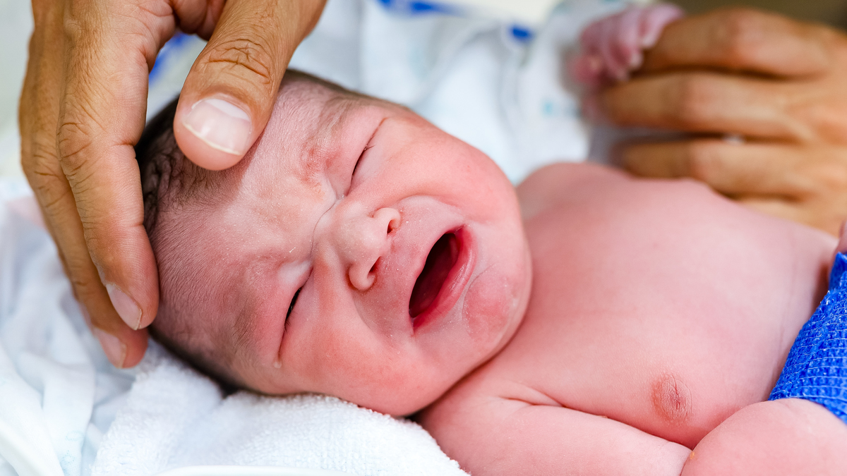 Fotografia de Parto - Maternidade Santa Joana - São Paulo