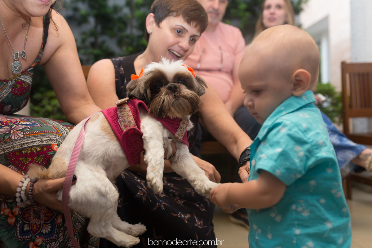 Fazendo carinho no cachorro