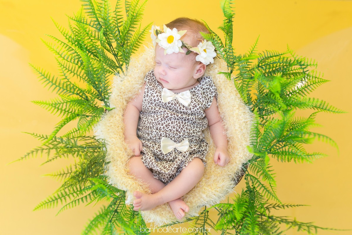 Ensaio Newborn com a Donatella 35 dias de vida