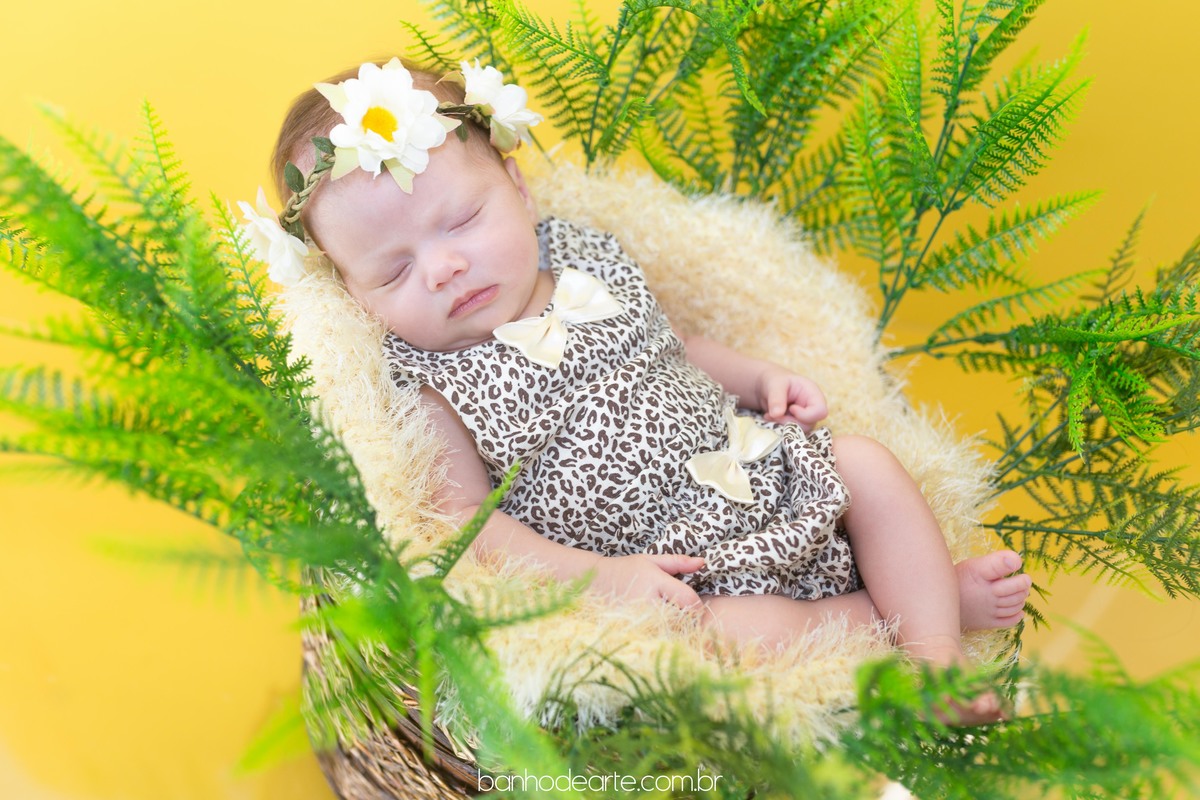 Ensaio Newborn com a Donatella 35 dias de vida