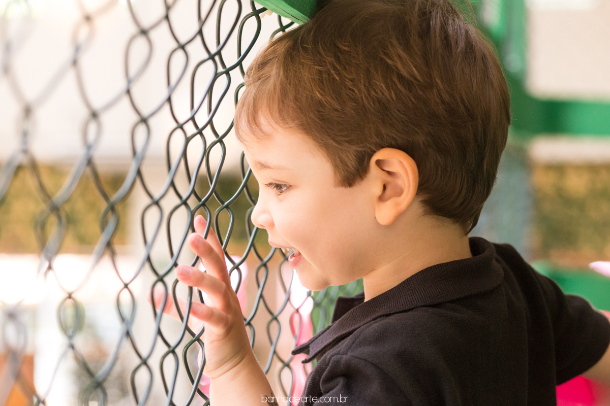 Aniversário Sofia 3 anos - Espaço Formigueiro