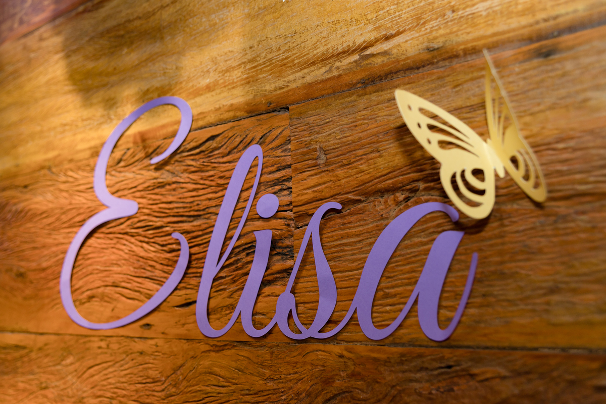 Aniversário Elisa 1 ano | Tema Sininho | Fotografado por Banho de Arte