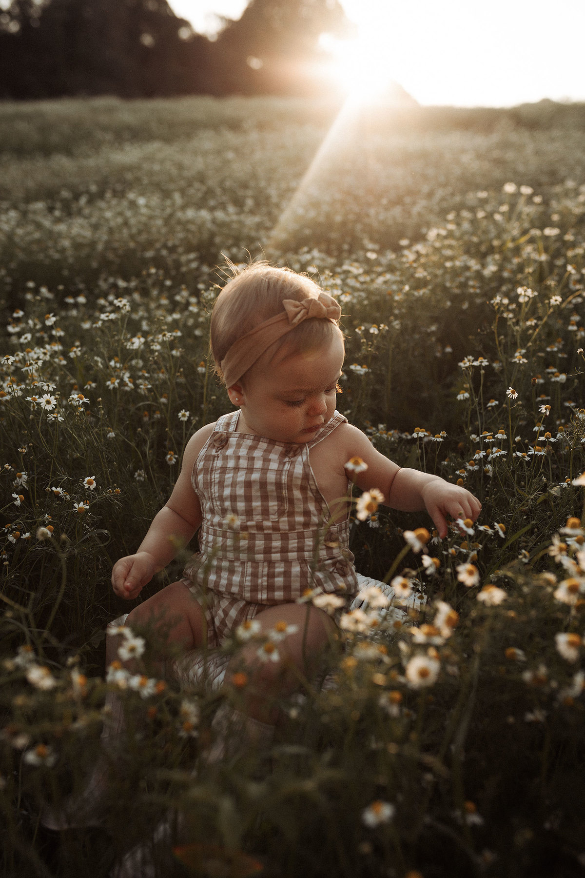 ensaioinfantil-tainaportofotografia-ensaioplantaçãodecamolila-plantação-ensaioexterno-ensaiofotograficoinfantil-fotosdebebescuritiba-ensaioinfantilcuritiba