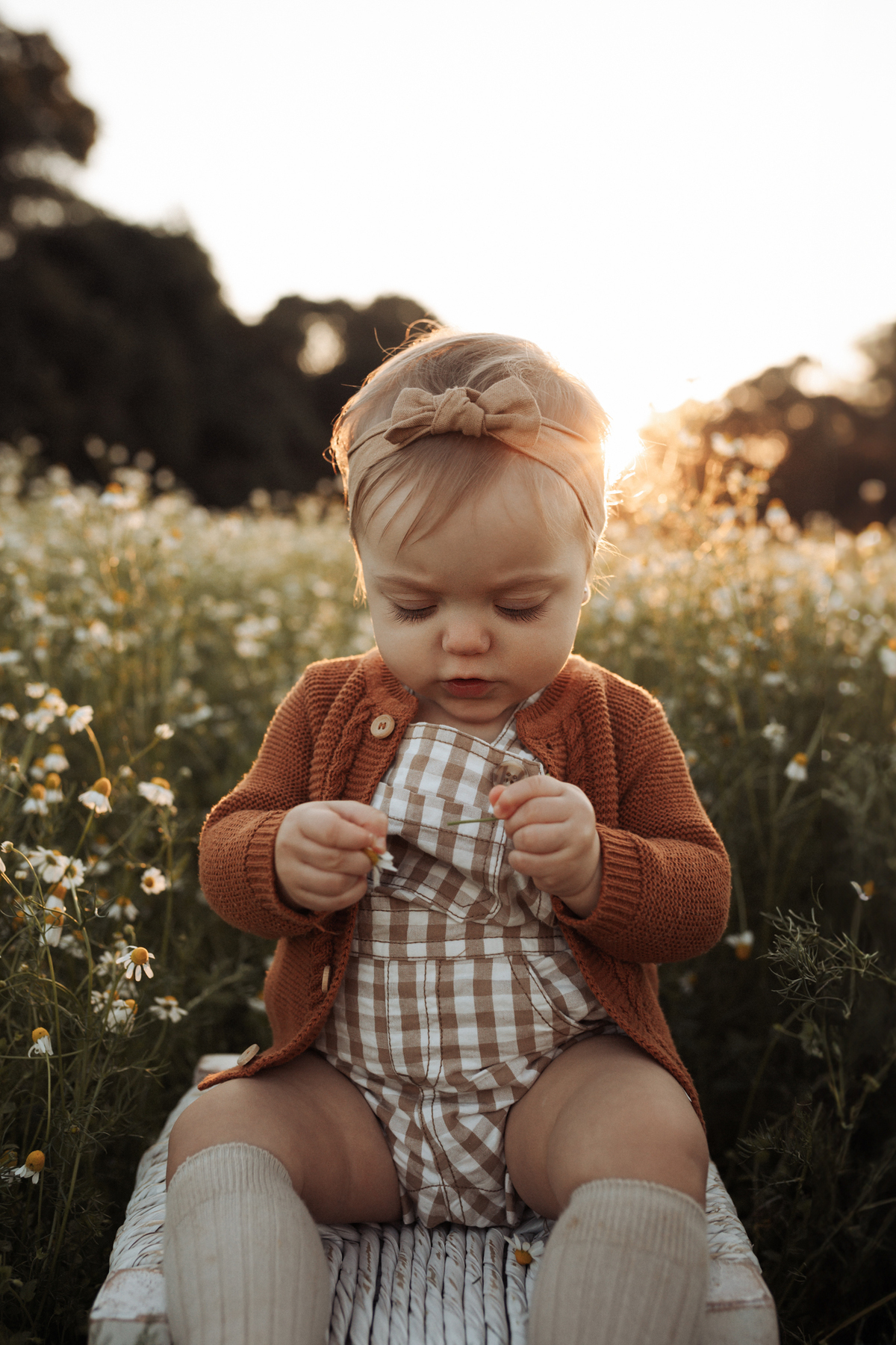 ensaioinfantil-tainaportofotografia-ensaioplantaçãodecamolila-plantação-ensaioexterno-ensaiofotograficoinfantil-fotosdebebescuritiba-ensaioinfantilcuritiba