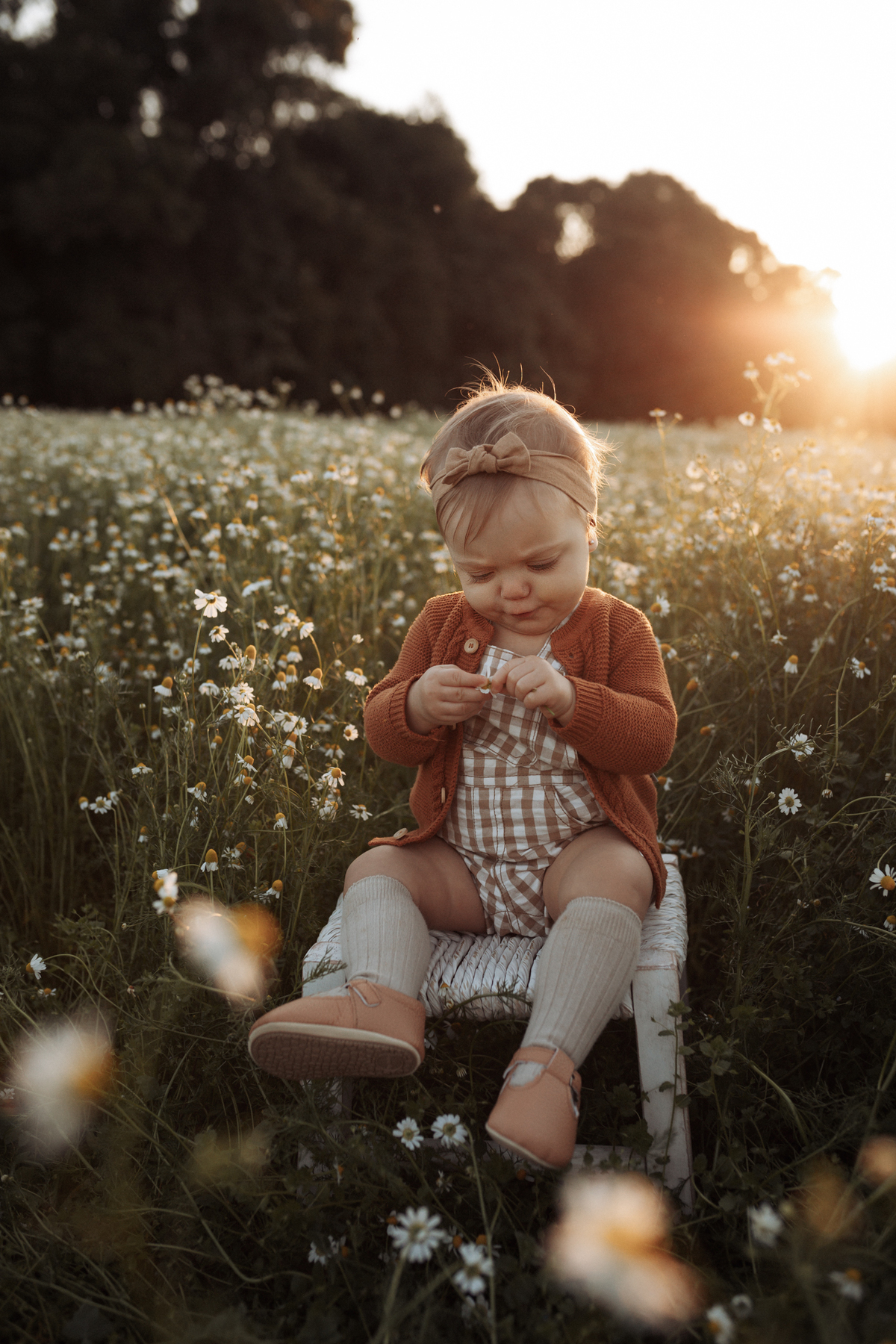 ensaioinfantil-tainaportofotografia-ensaioplantaçãodecamolila-plantação-ensaioexterno-ensaiofotograficoinfantil-fotosdebebescuritiba-ensaioinfantilcuritiba