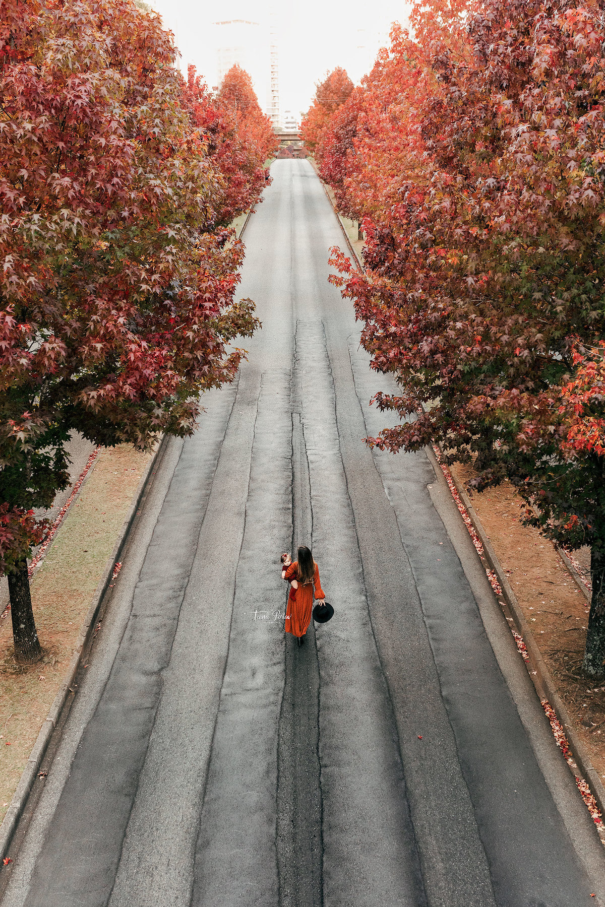 ensaioinfantilcuritiba,fotosdebebes,ensaiodebebescuritiba,fotografacuritiba,estudiofotografico,estudioinfantil,estudionewborn,acompanhamentodobebe