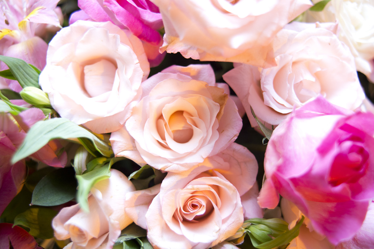 #fotografocasamentos #felipesaldanha #felipesaldanhafotografia #fotografobh #fotografobelohorizonte #fotografomg #trashthedress #ensaiocasal #savethedate #fotografocasamentos #chateubelvedere