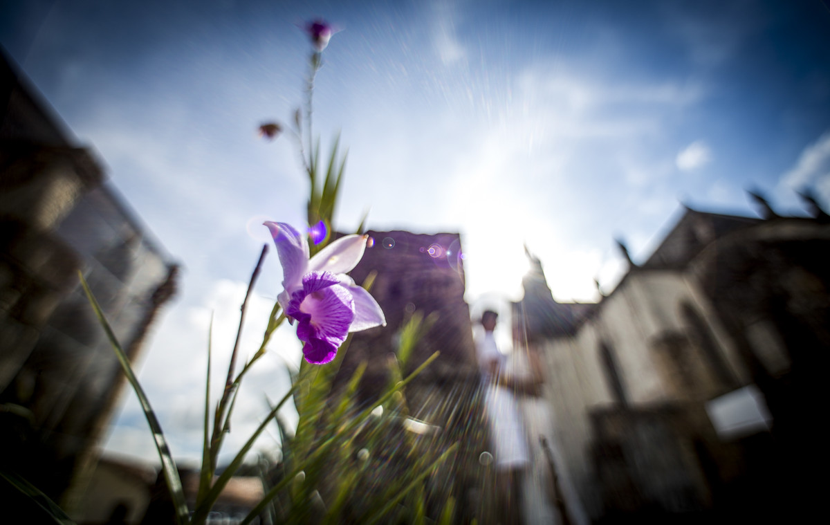 #fotografiacasamento #felipesaldanha #felipesaldanhafotografia #fotografobh #fotografobelohorizonte #fotografomg #trashthedress #ensaiocasal #savethedate #fotografocasamentos #diadenoiva