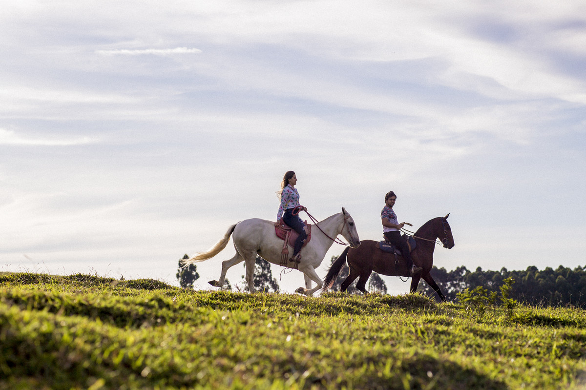 #fotografiacasamento #felipesaldanha #felipesaldanhafotografia #fotografobh #fotografobelohorizonte #fotografomg #ensaiocavalos #ensaiocasal #savethedate #fotografocasamentos #fotolinda #amor