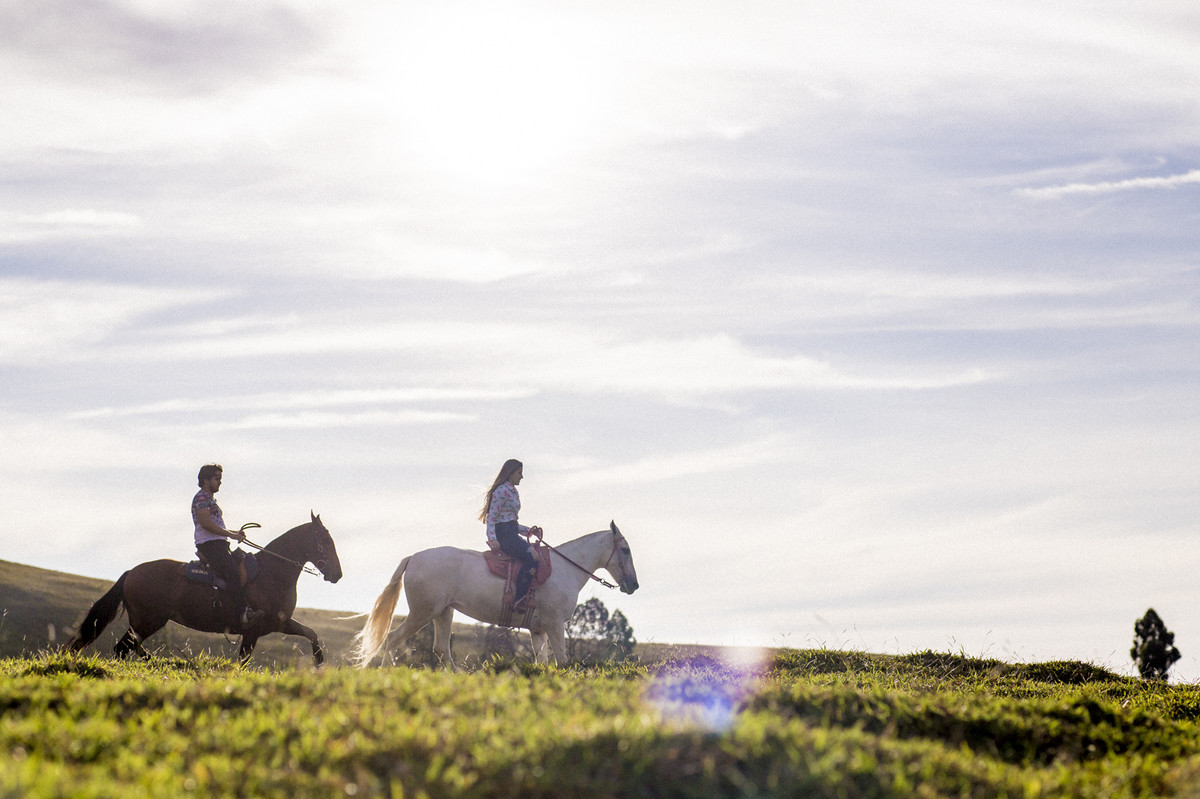 #fotografiacasamento #felipesaldanha #felipesaldanhafotografia #fotografobh #fotografobelohorizonte #fotografomg #ensaiocavalos #ensaiocasal #savethedate #fotografocasamentos #fotolinda #amor