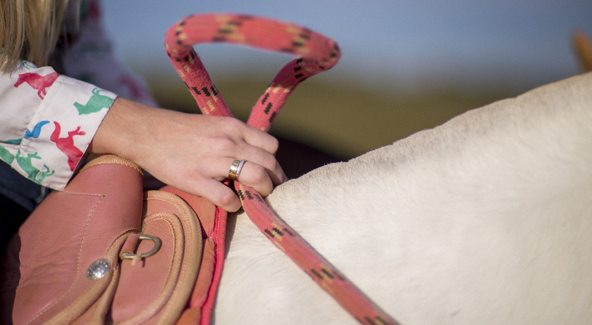 #fotografiacasamento #felipesaldanha #felipesaldanhafotografia #fotografobh #fotografobelohorizonte #fotografomg #ensaiocavalos #ensaiocasal #savethedate #fotografocasamentos #fotolinda #amor