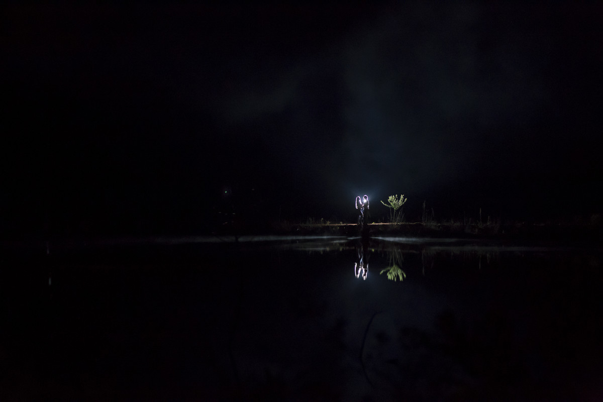 #fotografiacasamento #felipesaldanha #felipesaldanhafotografia #fotografobh #fotografobelohorizonte #fotografomg #ensaiocavalos #ensaiocasal #savethedate #fotografocasamentos #fotolinda #amor