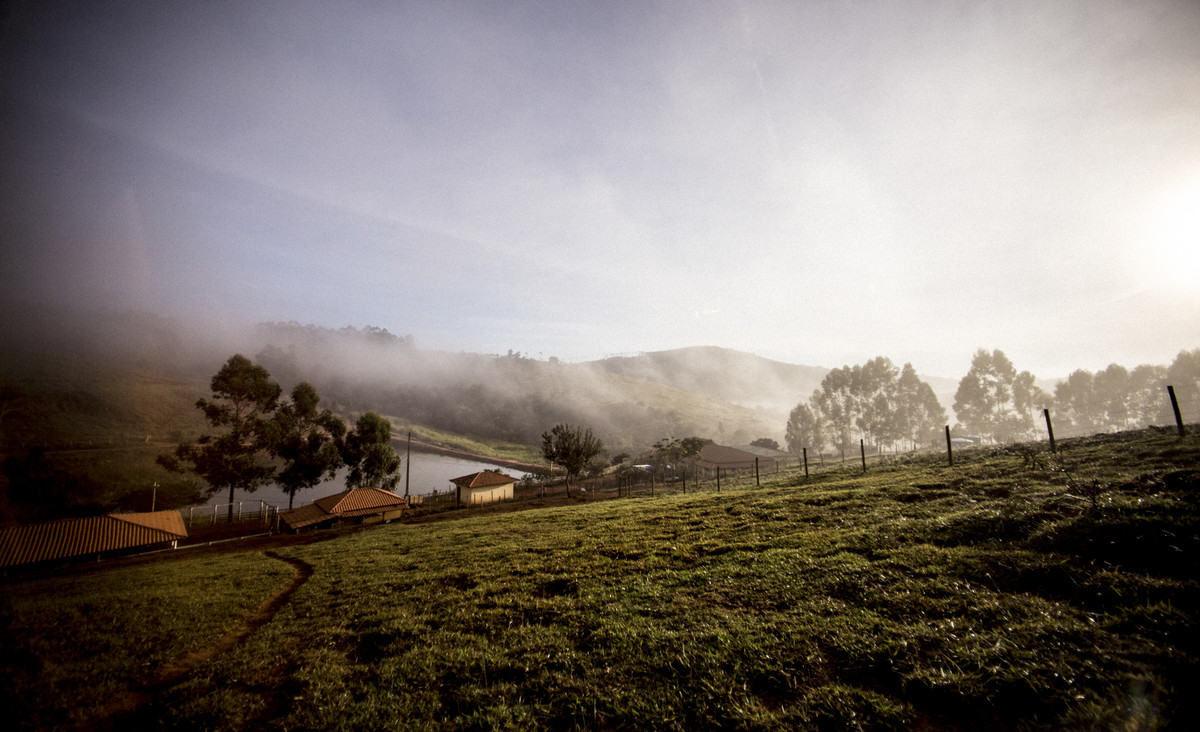 #fotografiacasamento #felipesaldanha #felipesaldanhafotografia #fotografobh #fotografobelohorizonte #fotografomg #ensaiocavalos #ensaiocasal #savethedate #fotografocasamentos #fotolinda #amor