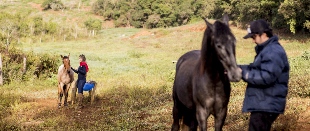 #fotografiacasamento #felipesaldanha #felipesaldanhafotografia #fotografobh #fotografobelohorizonte #fotografomg #ensaiocavalos #ensaiocasal #savethedate #fotografocasamentos #fotolinda #amor