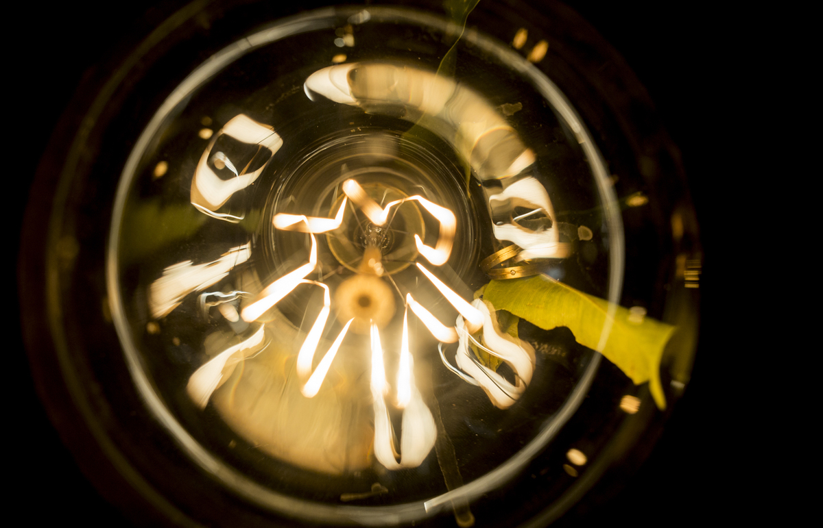 #felipesaldanha #felipesaldanhafotografia #ensaionoivos #fotografobh #fotografobelohorizonte #fotografomg #valeverde #fotografobh #ensaiocasal #savethedate #fotografocasamentos #fotolinda #amor