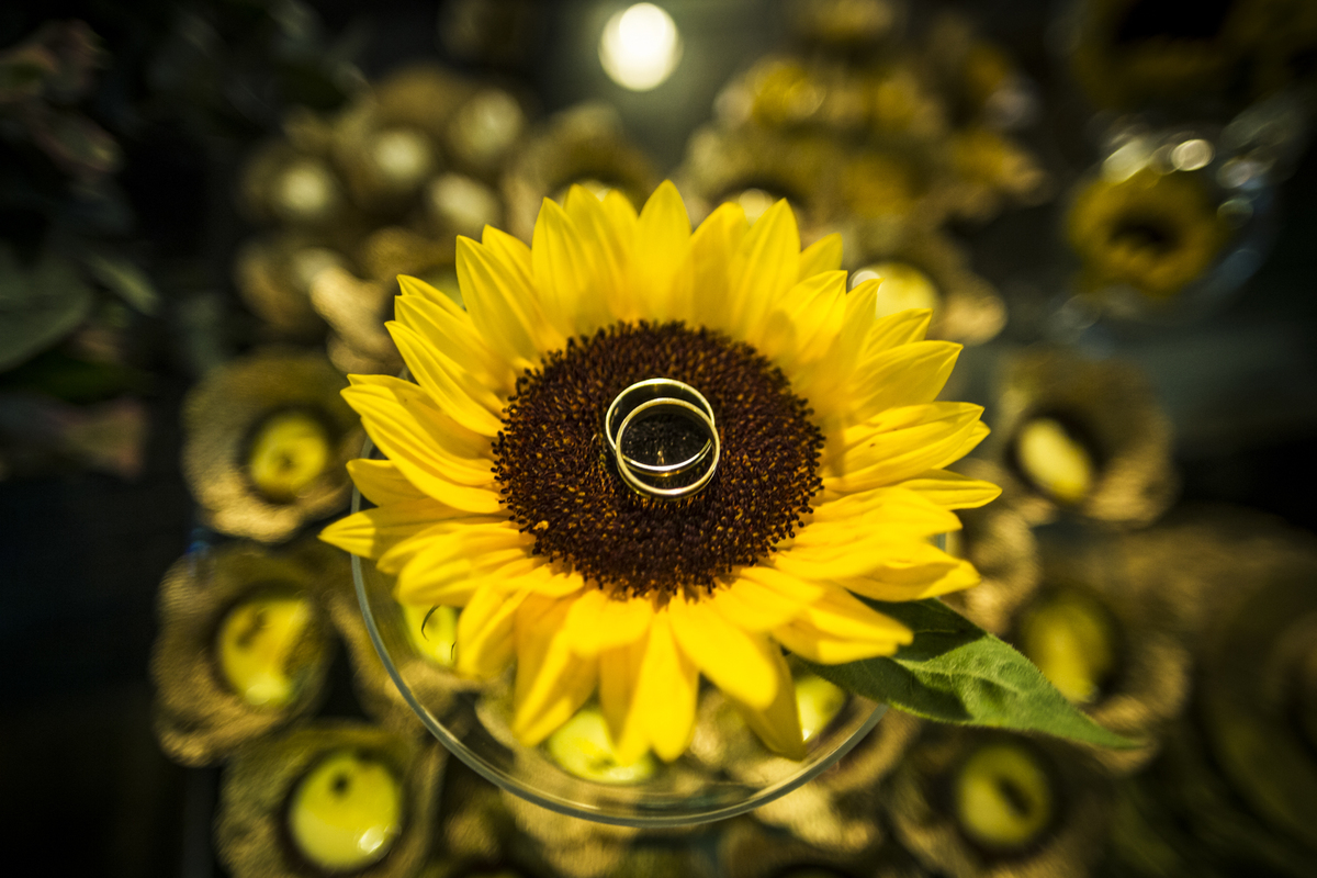 #felipesaldanha #felipesaldanhafotografia #ensaionoivos #fotografobh #fotografobelohorizonte #fotografomg #valeverde #fotografobh #ensaiocasal #savethedate #fotografocasamentos #fotolinda #amor