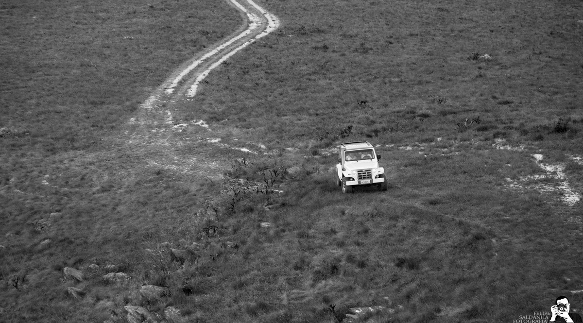 #fotografocasamentos #felipesaldanha #felipesaldanhafotografia #fotografobh #fotografobelohorizonte #fotografomg #trashthedress #ensaiocasal #savethedate #fotografocasamentos #ensaiolavrasnovas