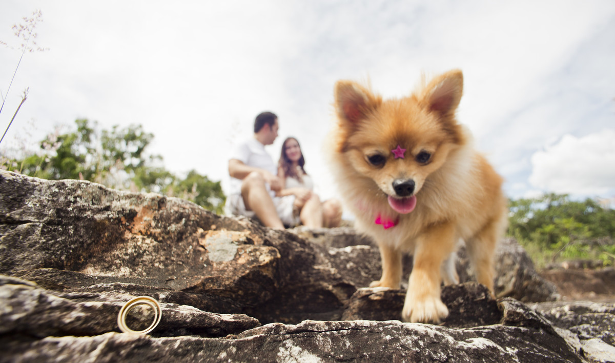 #fotografocasamentos #felipesaldanha #felipesaldanhafotografia #fotografobh #fotografobelohorizonte #fotografomg #trashthedress #ensaiocasal #savethedate #fotografocasamentos #ensaioserradocipo