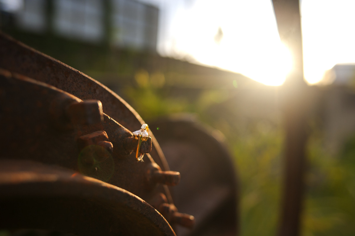 #fotografocasamentos #felipesaldanha #felipesaldanhafotografia #fotografobh #fotografobelohorizonte #fotografomg #trashthedress #ensaiocasal #savethedate #fotografocasamentos #casamentopousoalegre