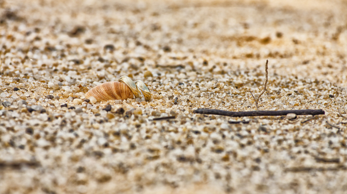 #fotografocasamentos #felipesaldanha #felipesaldanhafotografia #fotografobh #fotografobelohorizonte #fotografomg #trashthedress #ensaiocasal #savethedate #fotografocasamentos #ensaionapraia