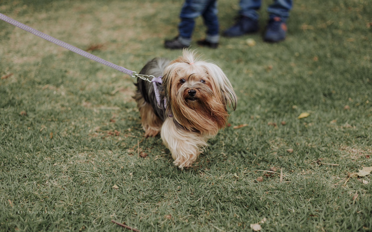 Ensaio família externo ao ar livre realizado no parque dos rosa por Kevin Medeiros fotógrafo de Canoas, Porto Alegre e RS