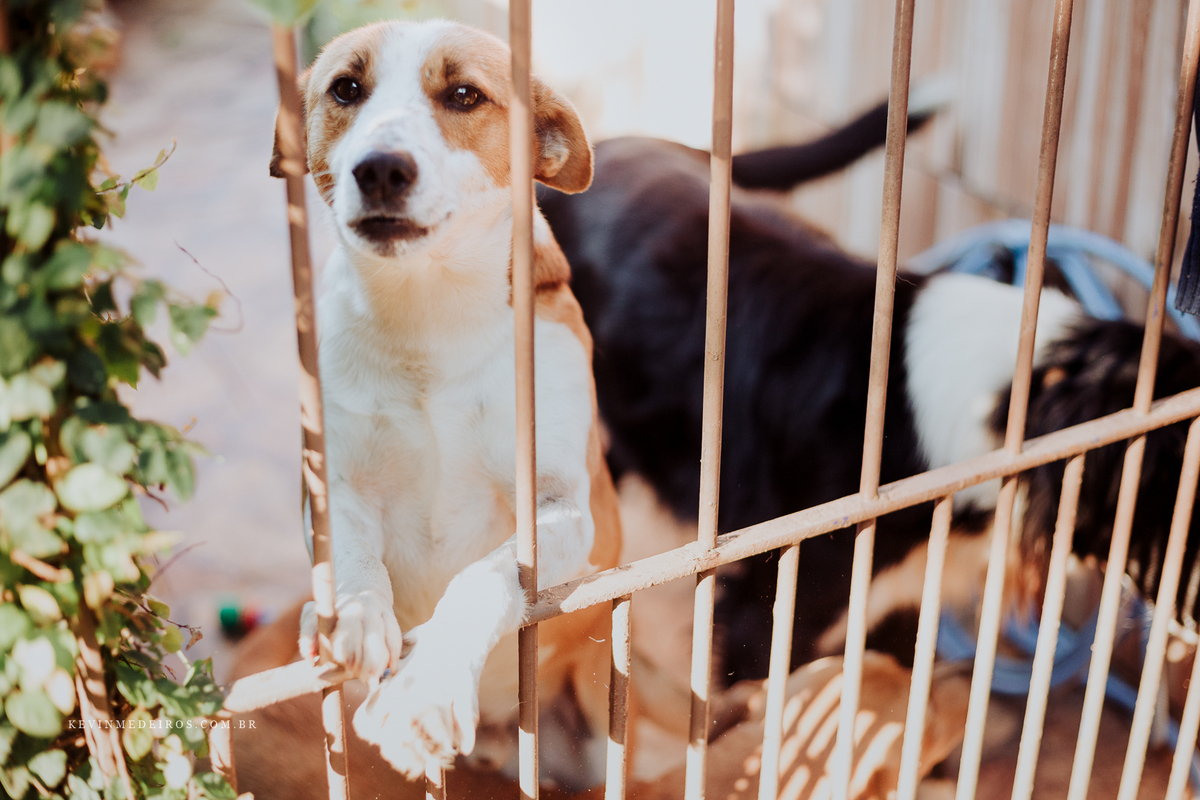 Arraiá chá de casa nova da fê e Dinho realizado em nova santa rita por Kevin Medeiros, fotógrafo de Canoas, porto alegre e RS