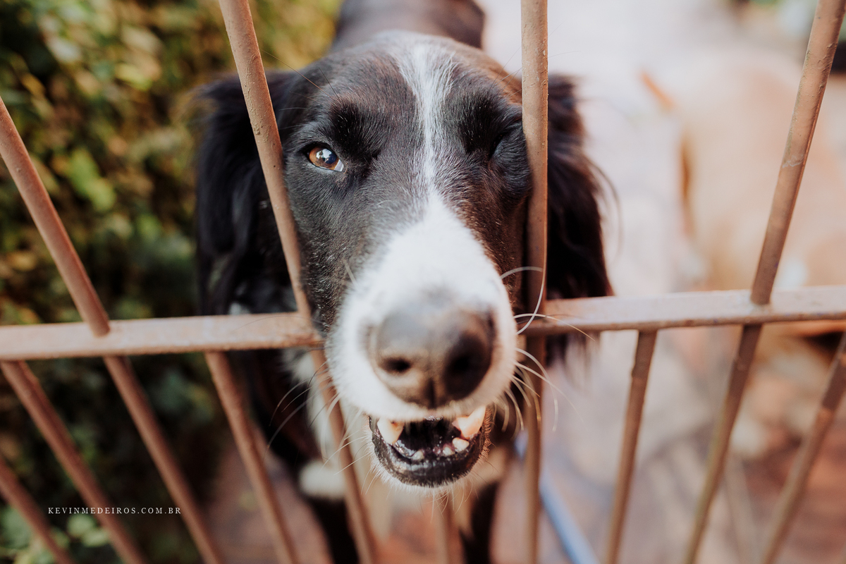 Arraiá chá de casa nova da fê e Dinho realizado em nova santa rita por Kevin Medeiros, fotógrafo de Canoas, porto alegre e RS